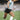 Puma King: la scarpa che ha fatto la storia del calcio