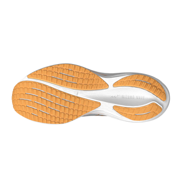 Scarpe Running Mizuno Wave Rider 29 Grigio e Arancione